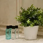 Borghese Grand Caravel 아파트 *
